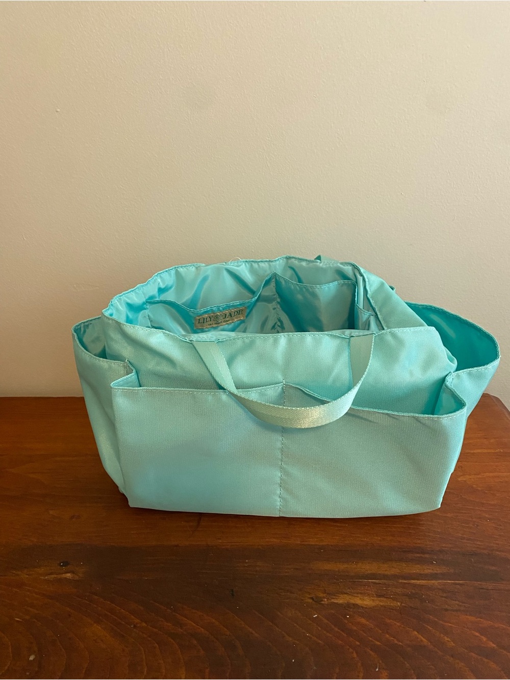 Lily Jade Diaper Bag Insert and Caddy